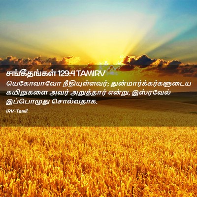 Picture 02 - சங்கீதங்கள் 129:4 TAMIRV - யெகோவாவோ - Bible Verse Picture