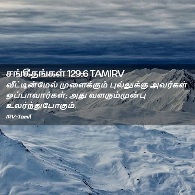 Picture 02 - சங்கீதங்கள் 129:6 TAMIRV - வீட்டின்மேல் - Bible Verse Picture