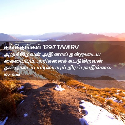 Picture 02 - சங்கீதங்கள் 129:7 TAMIRV - அறுக்கிறவன் - Bible Verse Picture