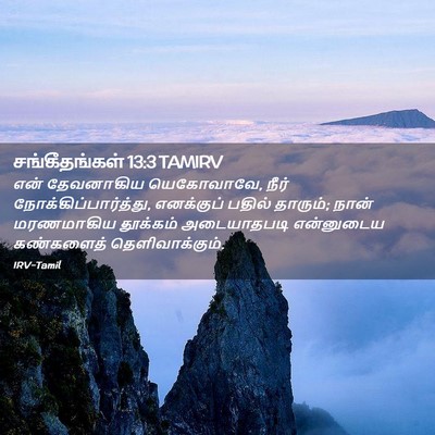 Picture 02 - சங்கீதங்கள் 13:3 TAMIRV - என் தேவனாகிய - Bible Verse Picture