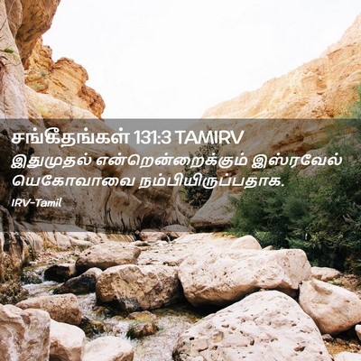 Picture 02 - சங்கீதங்கள் 131:3 TAMIRV - இதுமுதல் - Bible Verse Picture