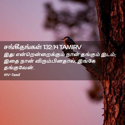 Picture 02 - சங்கீதங்கள் 132:14 TAMIRV - இது - Bible Verse Picture