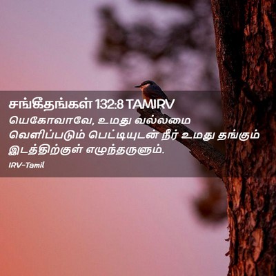 Picture 02 - சங்கீதங்கள் 132:8 TAMIRV - யெகோவாவே, உமது - Bible Verse Picture
