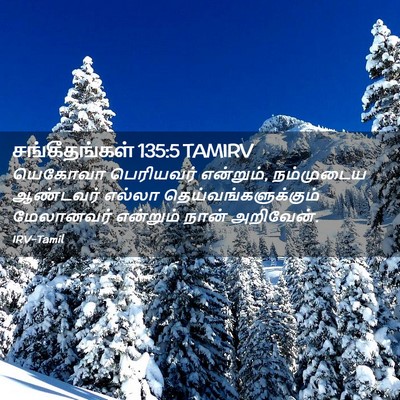 Picture 02 - சங்கீதங்கள் 135:5 TAMIRV - யெகோவா பெரியவர் - Bible Verse Picture