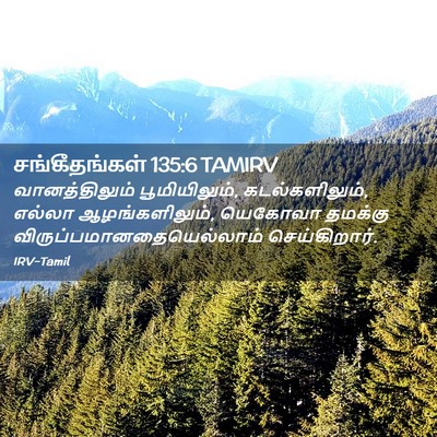 Picture 02 - சங்கீதங்கள் 135:6 TAMIRV - வானத்திலும் - Bible Verse Picture