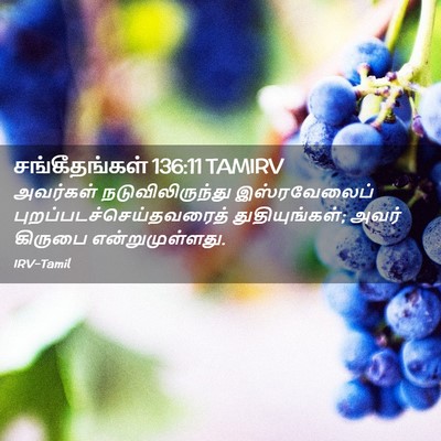 Picture 02 - சங்கீதங்கள் 136:11 TAMIRV - அவர்கள் - Bible Verse Picture