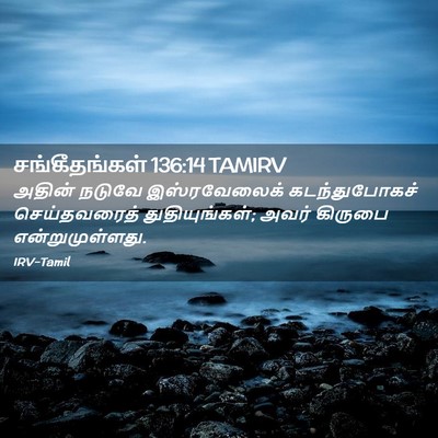 Picture 02 - சங்கீதங்கள் 136:14 TAMIRV - அதின் நடுவே - Bible Verse Picture