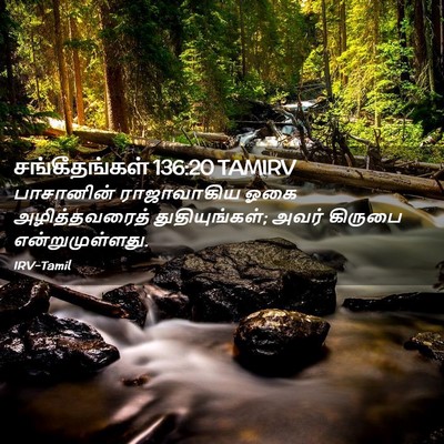 Picture 02 - சங்கீதங்கள் 136:20 TAMIRV - பாசானின் - Bible Verse Picture