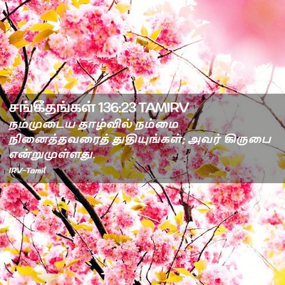 Picture 02 - சங்கீதங்கள் 136:23 TAMIRV - நம்முடைய தாழ்வில் - Bible Verse Picture