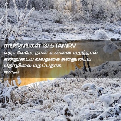 Picture 02 - சங்கீதங்கள் 137:5 TAMIRV - எருசலேமே, நான் - Bible Verse Picture