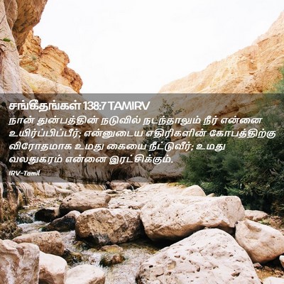 Picture 02 - சங்கீதங்கள் 138:7 TAMIRV - நான் துன்பத்தின் - Bible Verse Picture