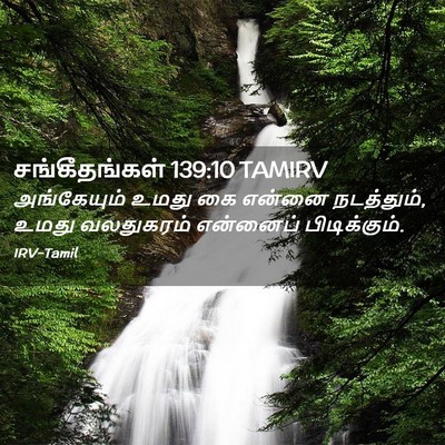 Picture 02 - சங்கீதங்கள் 139:10 TAMIRV - அங்கேயும் உமது கை - Bible Verse Picture