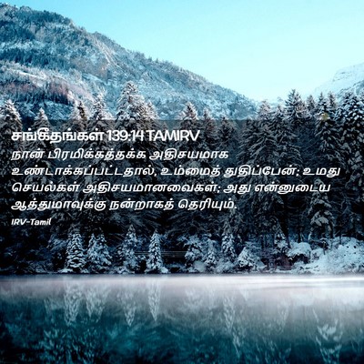 Picture 02 - சங்கீதங்கள் 139:14 TAMIRV - நான் - Bible Verse Picture