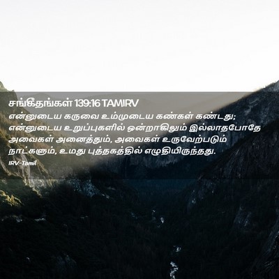 Picture 02 - சங்கீதங்கள் 139:16 TAMIRV - என்னுடைய கருவை - Bible Verse Picture