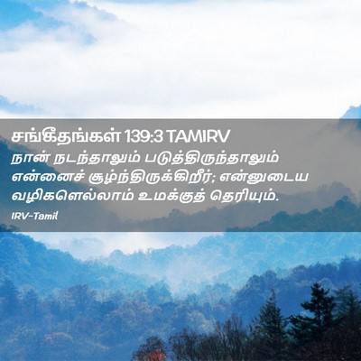 Picture 02 - சங்கீதங்கள் 139:3 TAMIRV - நான் நடந்தாலும் - Bible Verse Picture