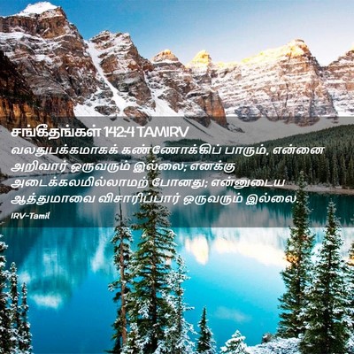 Picture 02 - சங்கீதங்கள் 142:4 TAMIRV - வலதுபக்கமாகக் - Bible Verse Picture