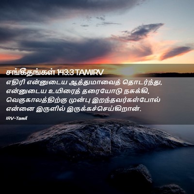 Picture 02 - சங்கீதங்கள் 143:3 TAMIRV - எதிரி என்னுடைய - Bible Verse Picture