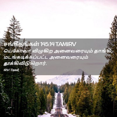 Picture 02 - சங்கீதங்கள் 145:14 TAMIRV - யெகோவா விழுகிற - Bible Verse Picture