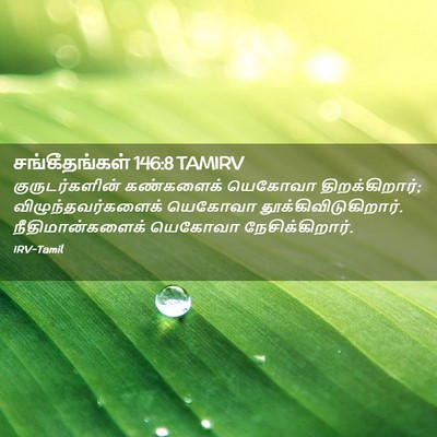 Picture 02 - சங்கீதங்கள் 146:8 TAMIRV - குருடர்களின் - Bible Verse Picture