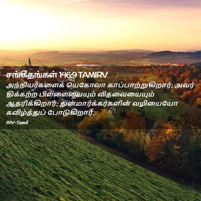 Picture 02 - சங்கீதங்கள் 146:9 TAMIRV - அந்நியர்களைக் - Bible Verse Picture