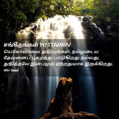 Picture 02 - சங்கீதங்கள் 147:1 TAMIRV - யெகோவாவை - Bible Verse Picture
