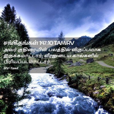 Picture 02 - சங்கீதங்கள் 147:10 TAMIRV - அவர் குதிரையின் - Bible Verse Picture