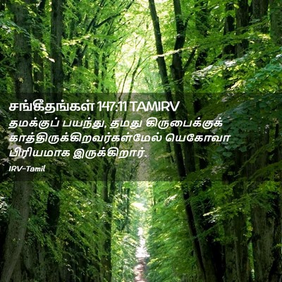 Picture 02 - சங்கீதங்கள் 147:11 TAMIRV - தமக்குப் பயந்து, - Bible Verse Picture