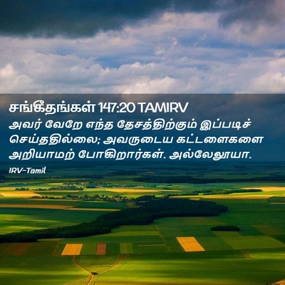 Picture 02 - சங்கீதங்கள் 147:20 TAMIRV - அவர் வேறே எந்த - Bible Verse Picture