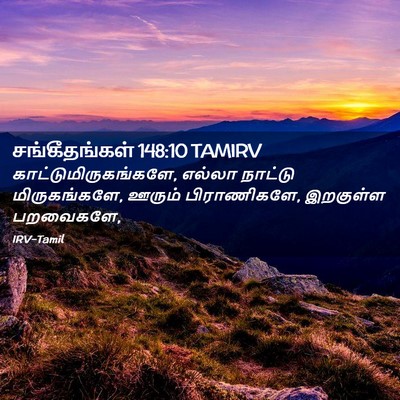Picture 02 - சங்கீதங்கள் 148:10 TAMIRV - காட்டுமிருகங்களே, - Bible Verse Picture