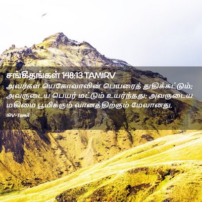 Picture 02 - சங்கீதங்கள் 148:13 TAMIRV - அவர்கள் - Bible Verse Picture