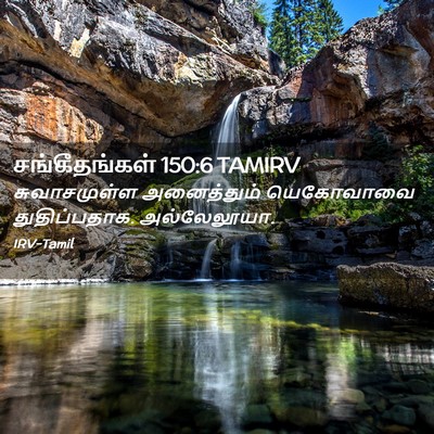 Picture 02 - சங்கீதங்கள் 150:6 TAMIRV - சுவாசமுள்ள - Bible Verse Picture