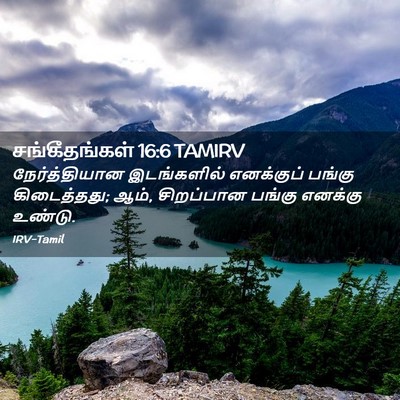 Picture 02 - சங்கீதங்கள் 16:6 TAMIRV - நேர்த்தியான - Bible Verse Picture