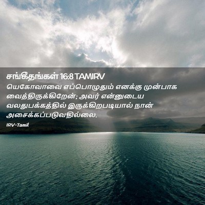 Picture 02 - சங்கீதங்கள் 16:8 TAMIRV - யெகோவாவை - Bible Verse Picture