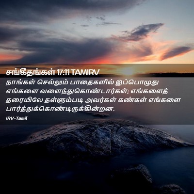 Picture 02 - சங்கீதங்கள் 17:11 TAMIRV - நாங்கள் செல்லும் - Bible Verse Picture