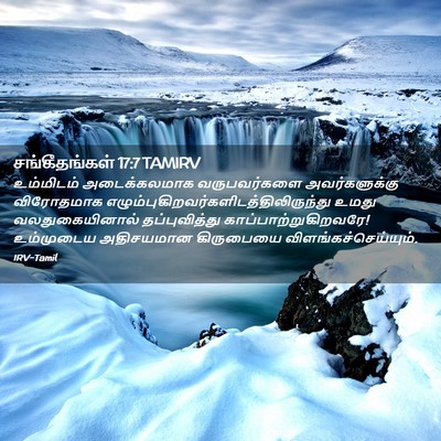 Picture 02 - சங்கீதங்கள் 17:7 TAMIRV - உம்மிடம் - Bible Verse Picture