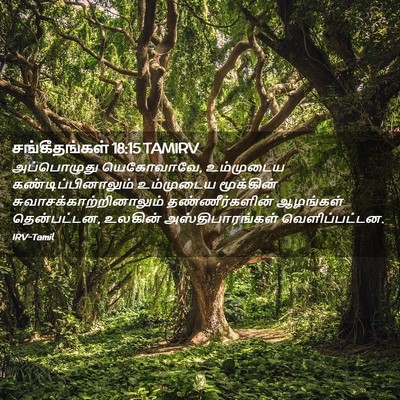 Picture 02 - சங்கீதங்கள் 18:15 TAMIRV - அப்பொழுது - Bible Verse Picture