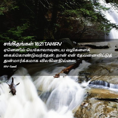 Picture 02 - சங்கீதங்கள் 18:21 TAMIRV - ஏனெனில் - Bible Verse Picture