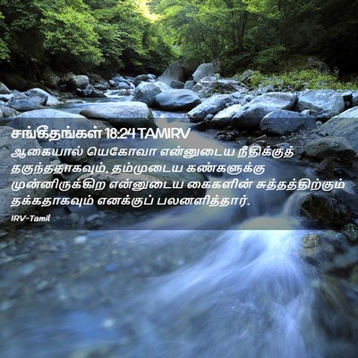 Picture 02 - சங்கீதங்கள் 18:24 TAMIRV - ஆகையால் யெகோவா - Bible Verse Picture