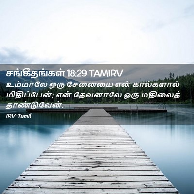 Picture 02 - சங்கீதங்கள் 18:29 TAMIRV - உம்மாலே ஒரு - Bible Verse Picture