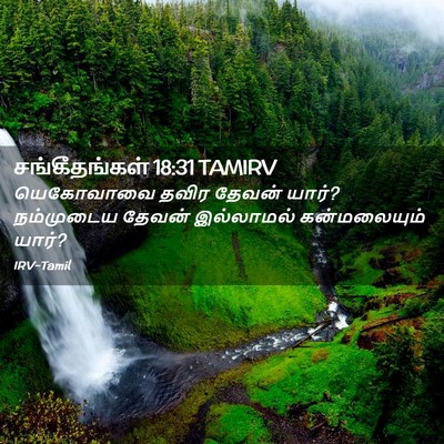 Picture 02 - சங்கீதங்கள் 18:31 TAMIRV - யெகோவாவை தவிர - Bible Verse Picture