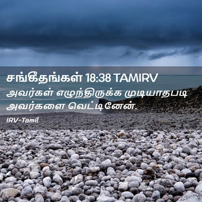 Picture 02 - சங்கீதங்கள் 18:38 TAMIRV - அவர்கள் - Bible Verse Picture