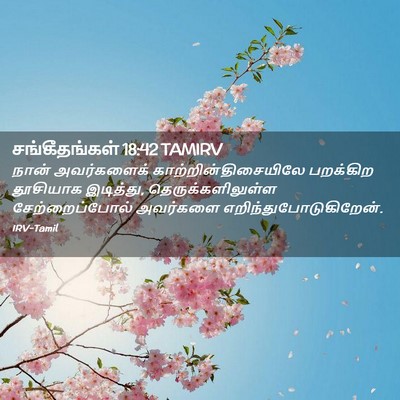 Picture 02 - சங்கீதங்கள் 18:42 TAMIRV - நான் அவர்களைக் - Bible Verse Picture