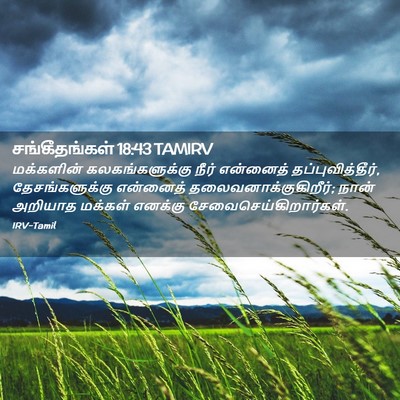 Picture 02 - சங்கீதங்கள் 18:43 TAMIRV - மக்களின் - Bible Verse Picture