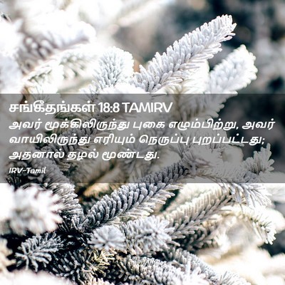 Picture 02 - சங்கீதங்கள் 18:8 TAMIRV - அவர் - Bible Verse Picture