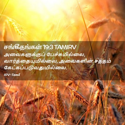Picture 02 - சங்கீதங்கள் 19:3 TAMIRV - அவைகளுக்குப் - Bible Verse Picture