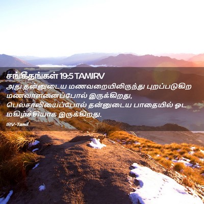 Picture 02 - சங்கீதங்கள் 19:5 TAMIRV - அது தன்னுடைய - Bible Verse Picture