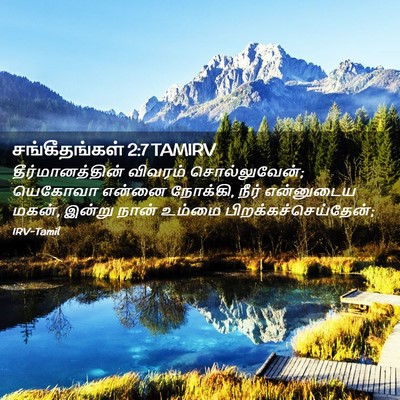 Picture 02 - சங்கீதங்கள் 2:7 TAMIRV - தீர்மானத்தின் - Bible Verse Picture