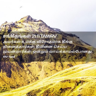 Picture 02 - சங்கீதங்கள் 21:11 TAMIRV - அவர்கள் உமக்கு - Bible Verse Picture