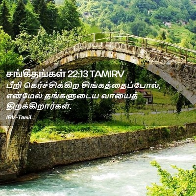 Picture 02 - சங்கீதங்கள் 22:13 TAMIRV - பீறி - Bible Verse Picture