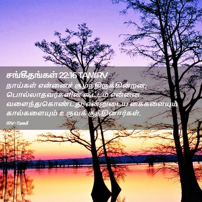 Picture 02 - சங்கீதங்கள் 22:16 TAMIRV - நாய்கள் என்னைச் - Bible Verse Picture